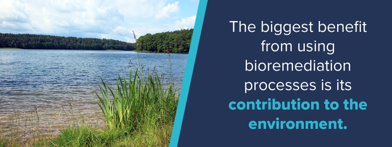 biggest-benefit-of-bioremediation-is-its-contribution-to-the-environment-banner